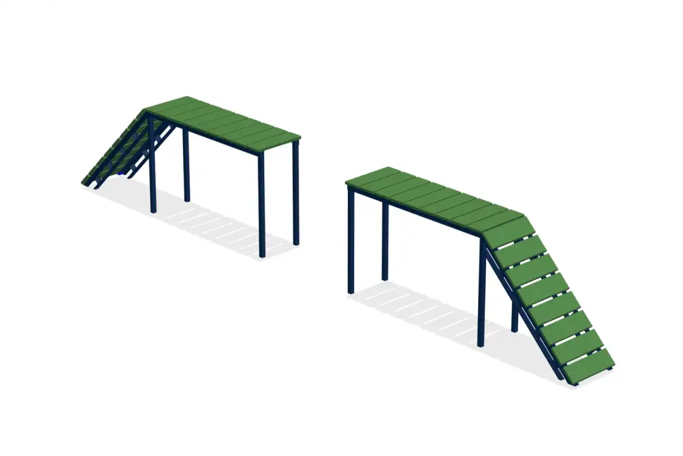 Дрессировка собак